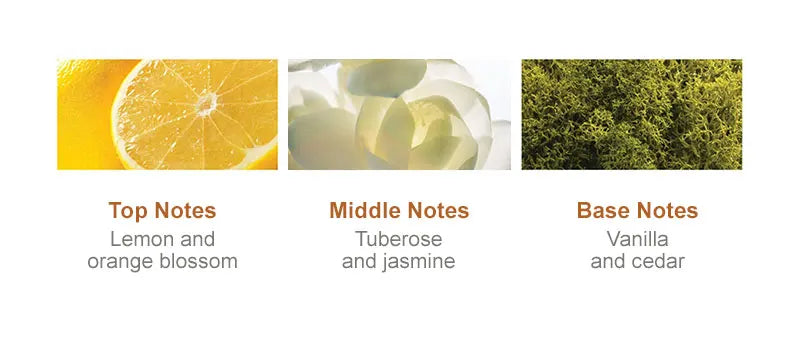 PURC Възстановяваща терапия за увредена коса Мароко Арганово масло Аминокиселина Кератин Изглаждащ шампоан и балсам без сулфати Комплект за коса